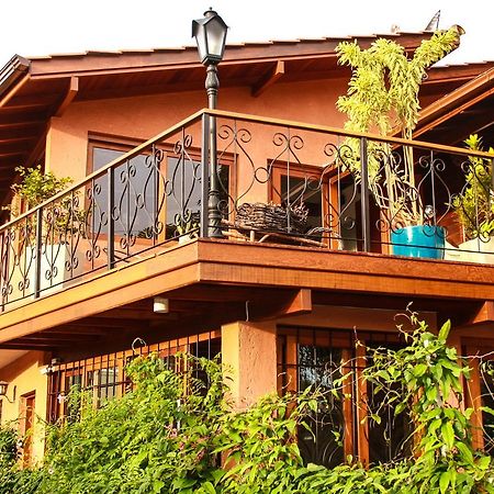 Mama Africa Hostel Florianópolis Eksteriør billede